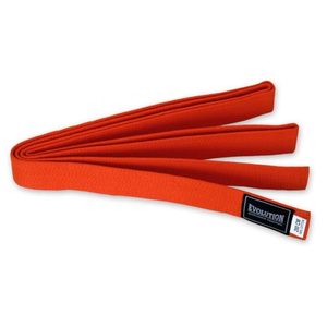 Pas do kimona Evolution - gallery 6