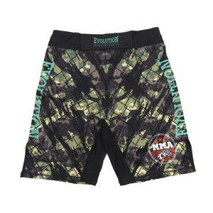 Spodenki bokserskie MMA Fighter Evolution