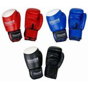 Rękawice bokserskie skórzane Evolution Standard - gallery 18