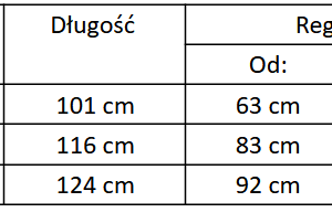 Pas kulturystyczny Pas kulturystyczny skórzany Evolution Power - Evolution