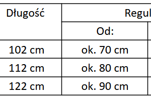 Pas kulturystyczny wykonany z naturalnej skóry utwardzanej zamszem. Nadaje się bardzo dobrze do podnoszenia ciężarów i innych ćwiczeń wysiłkowych. Przylega dobrze do ciała, usztywniając odcinek lędźwiowy kręgosłupa. Pas kulturystyczny skórzany Evolution Power+ - Evolution