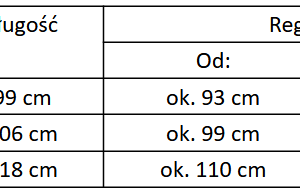 Pas kulturystyczny Pas kulturystyczny neoprenowy 20 cm Evolution - Evolution
